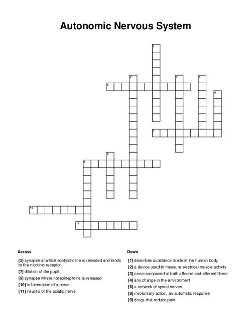 Autonomic Nervous System Crossword Puzzle
