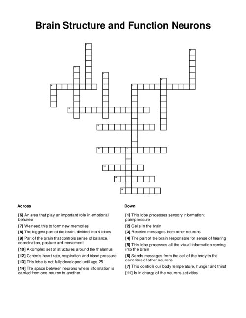 Brain Structure and Function Neurons Crossword Puzzle