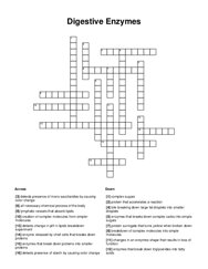 Digestive Enzymes Crossword Puzzle