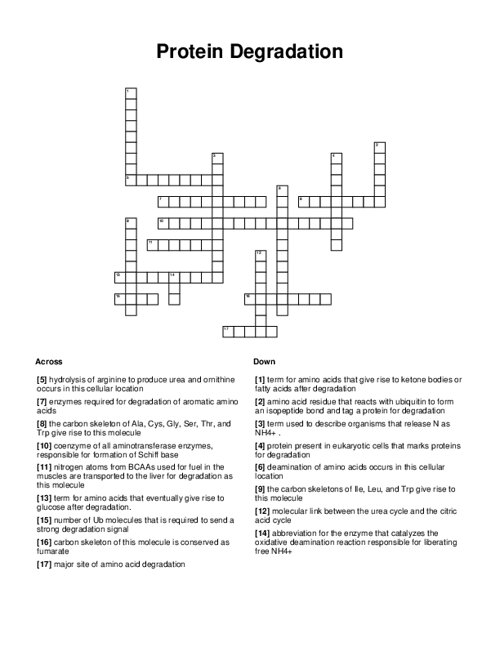 Protein Degradation Crossword Puzzle