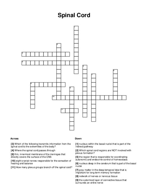 Spinal Cord Crossword Puzzle