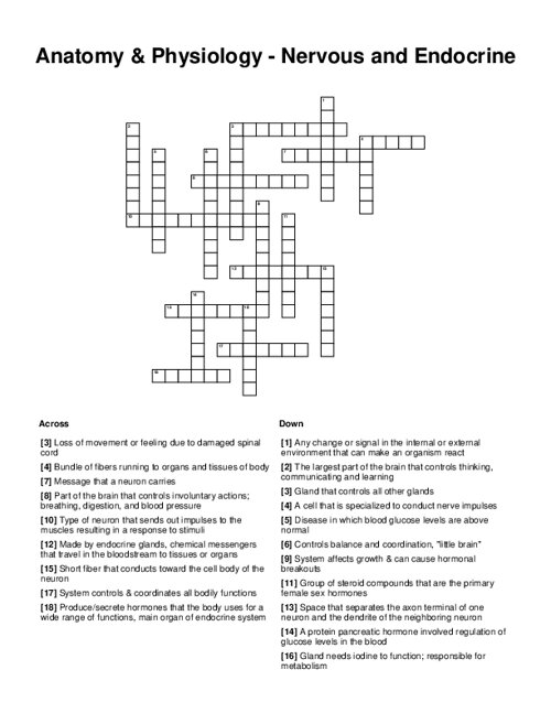 Anatomy & Physiology - Nervous and Endocrine Crossword Puzzle