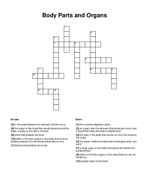 Body Parts and Organs Crossword Puzzle