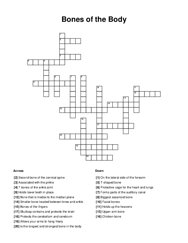 Bones of the Body Crossword Puzzle