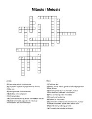 Mitosis / Meiosis Crossword Puzzle