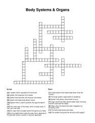 Body Systems & Organs Crossword Puzzle