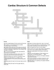 Cardiac Structure & Common Defects Crossword Puzzle