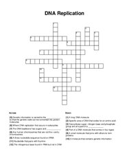 DNA Replication Crossword Puzzle