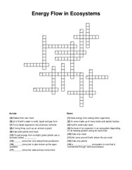 Energy Flow in Ecosystems Word Scramble Puzzle