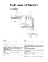 Gas Exchange and Respiration Crossword Puzzle