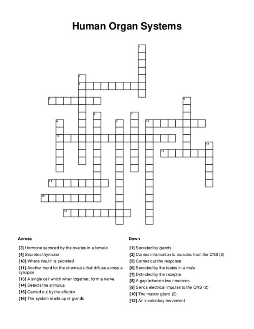 Human Organ Systems Crossword Puzzle
