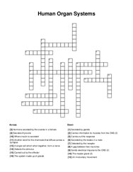 Human Organ Systems Crossword Puzzle