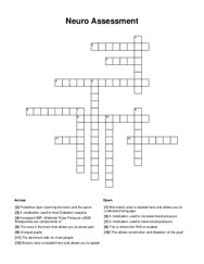 Neuro Assessment Crossword Puzzle