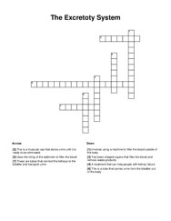 The Excretoty System Crossword Puzzle