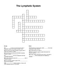The Lymphatic System Crossword Puzzle