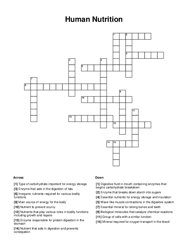 Human Nutrition Crossword Puzzle