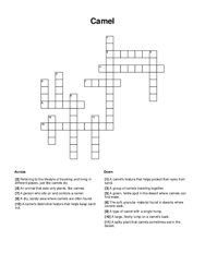 Camel Crossword Puzzle