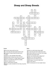 Sheep and Sheep Breeds Crossword Puzzle