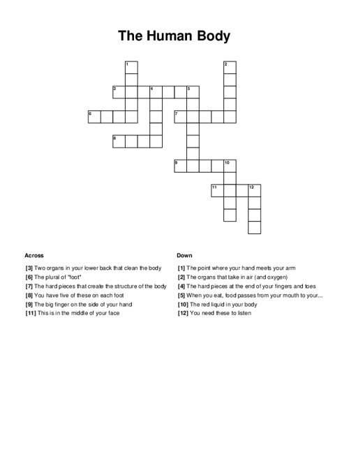The Human Body Crossword Puzzle