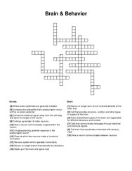 Brain & Behavior Crossword Puzzle