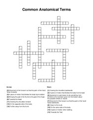 Common Anatomical Terms Crossword Puzzle