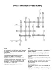 DNA / Mutations Vocabulary Crossword Puzzle
