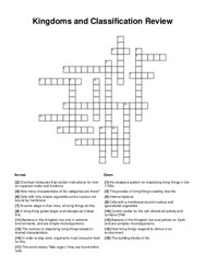 Kingdoms and Classification Review Word Scramble Puzzle