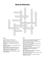 Natural Selection Crossword Puzzle