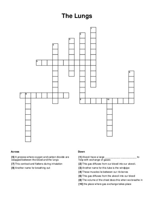 The Lungs Crossword Puzzle