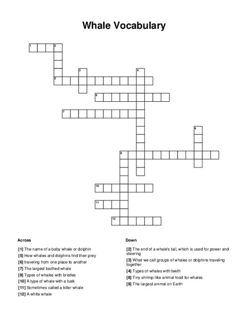 Whale Vocabulary Crossword Puzzle
