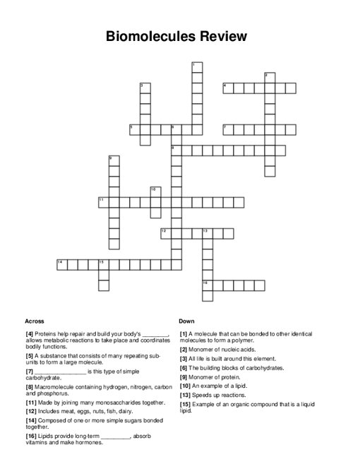 Biomolecules Review Crossword Puzzle