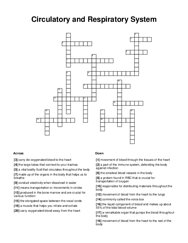 Circulatory and Respiratory System Crossword Puzzle
