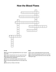 How the Blood Flows Crossword Puzzle