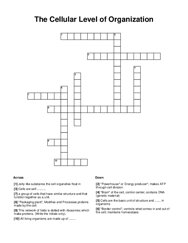 The Cellular Level of Organization Crossword Puzzle