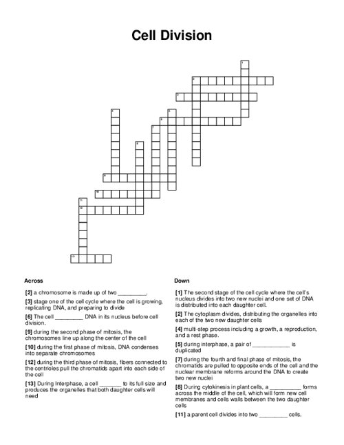 Cell Division Crossword Puzzle