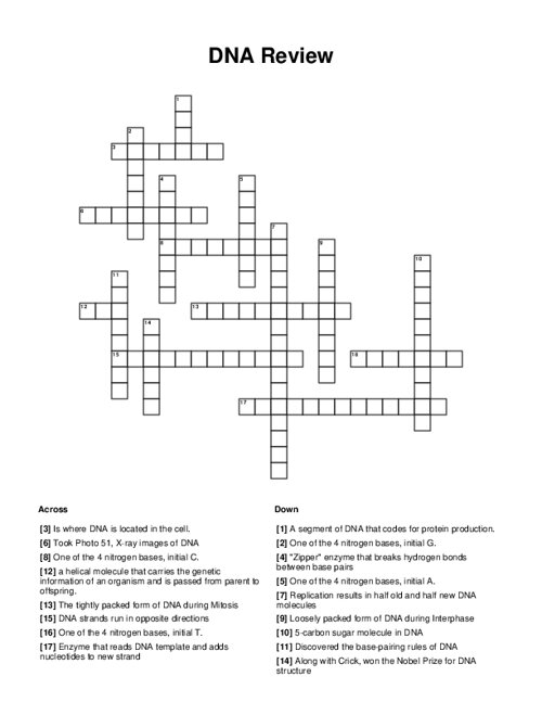 DNA Review Crossword Puzzle
