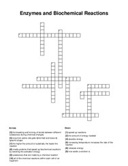 Enzymes and Biochemical Reactions Crossword Puzzle