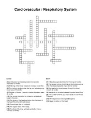Cardiovascular / Respiratory System Crossword Puzzle