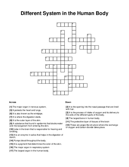 Different System in the Human Body Crossword Puzzle