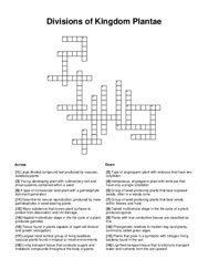 Divisions of Kingdom Plantae Crossword Puzzle