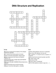 DNA Structure and Replication Crossword Puzzle