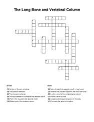 The Long Bone and Vertebral Column Crossword Puzzle