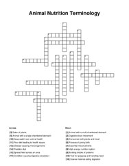 Animal Nutrition Terminology Crossword Puzzle