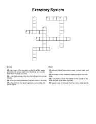 Excretory System Crossword Puzzle
