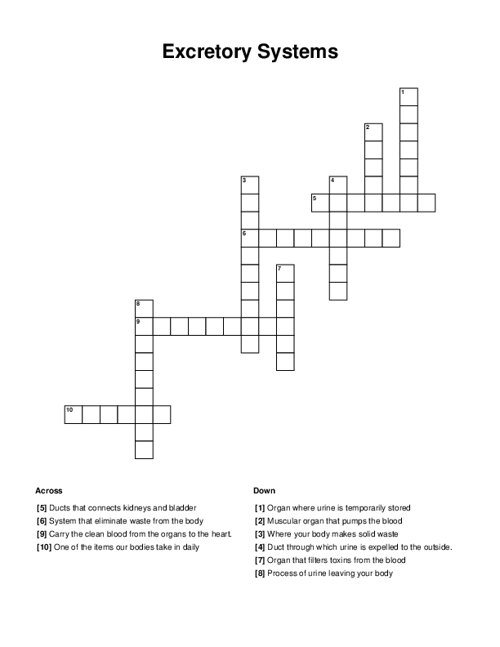 Excretory Systems Crossword Puzzle