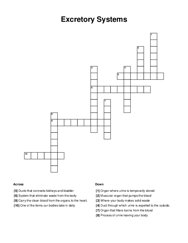 Excretory Systems Word Scramble Puzzle