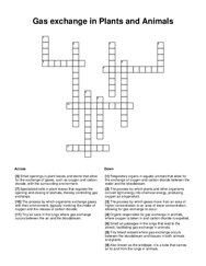 Gas exchange in Plants and Animals Crossword Puzzle