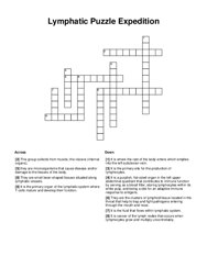 Lymphatic Puzzle Expedition Crossword Puzzle