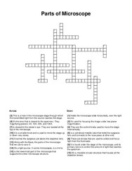 Parts of Microscope Crossword Puzzle