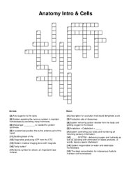 Anatomy Intro & Cells Word Scramble Puzzle